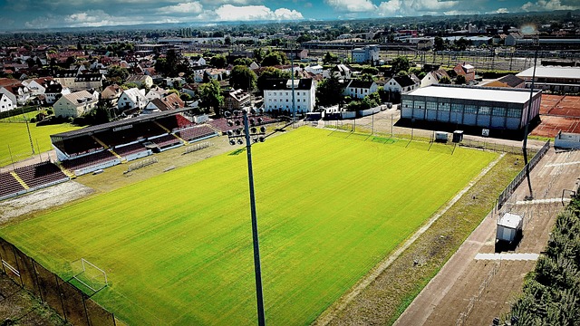 委政府的应 委政府的应